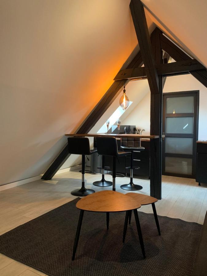 Apartament Cocoon Loft Colmar Zewnętrze zdjęcie