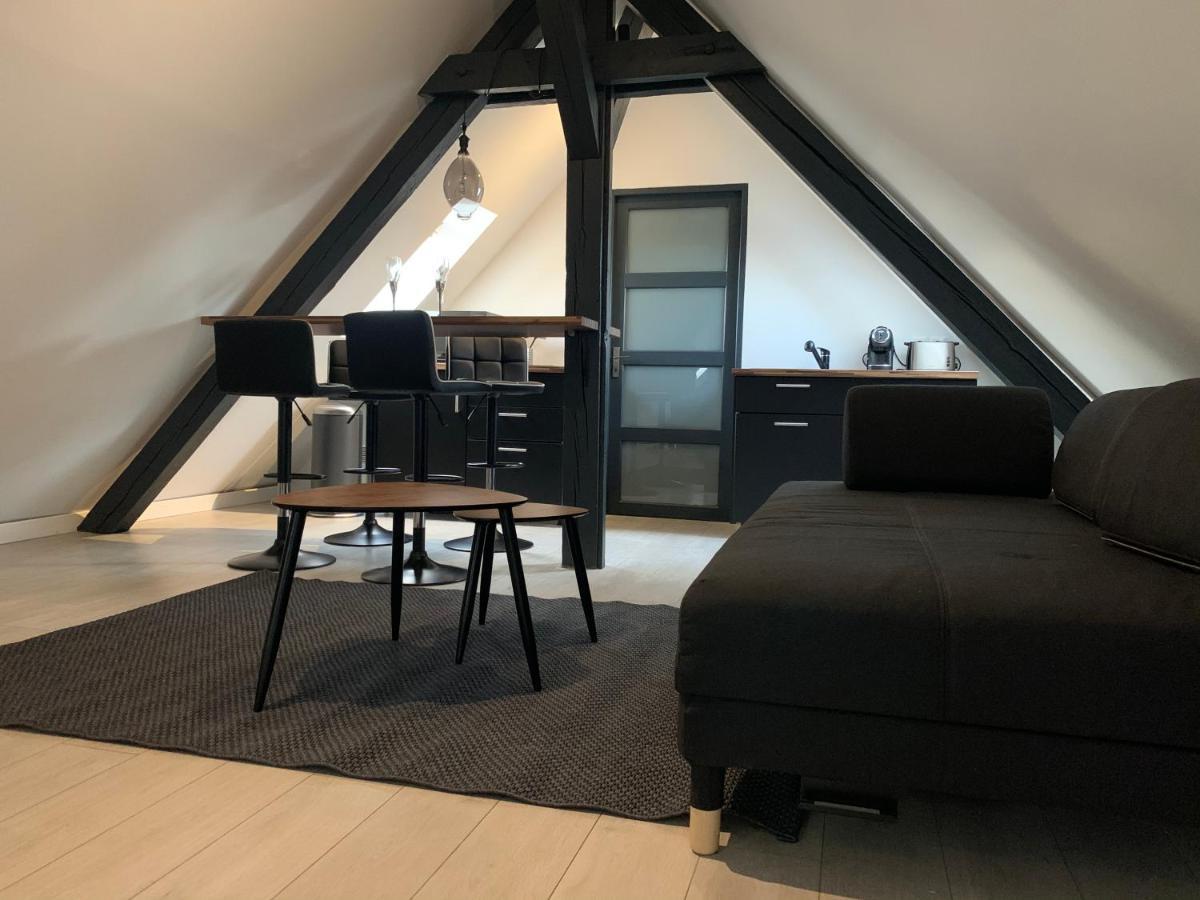 Apartament Cocoon Loft Colmar Zewnętrze zdjęcie