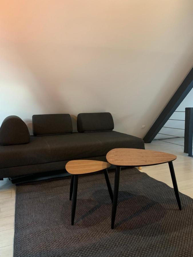Apartament Cocoon Loft Colmar Zewnętrze zdjęcie