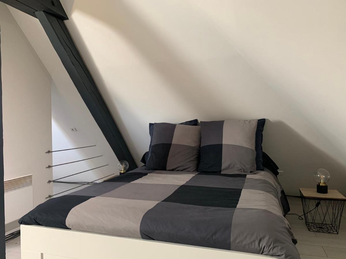 Apartament Cocoon Loft Colmar Zewnętrze zdjęcie